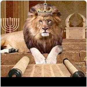 Meet your Posher, Johnathan